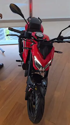 Nova shineray 250f flash 2025! #shineray  #250f  #motorcycle  #fyp 