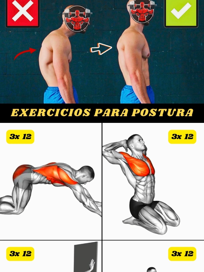 Exercícios para melhorar a postura!!  #treino #postura #posturacorreta  #GymTok #treinoemcasa  #treinocompleto #dicasdetreino  #creatorsearchinsights 