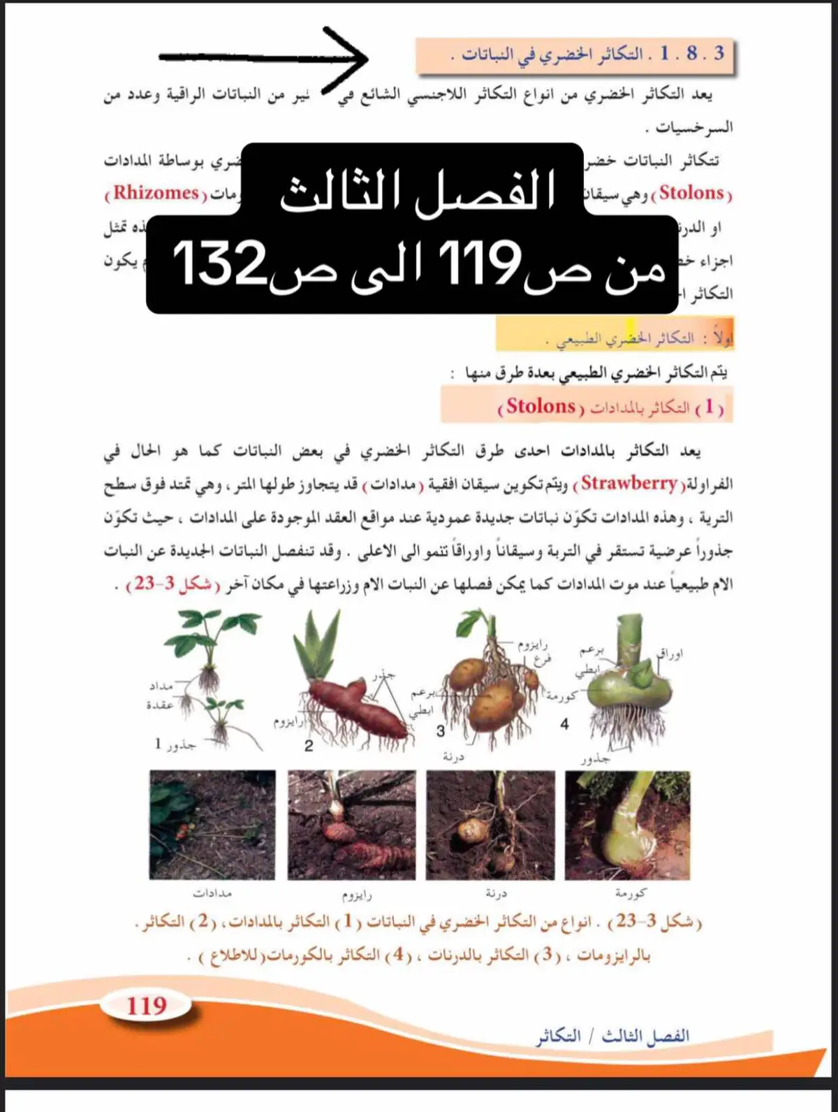 حذوفات الاحياء لـ دفعة2024 #سادسيون #سادسيون_نحو_المجد #طلاب_السادس #طلاب_السادس #سادسيون_دفعة_2024 