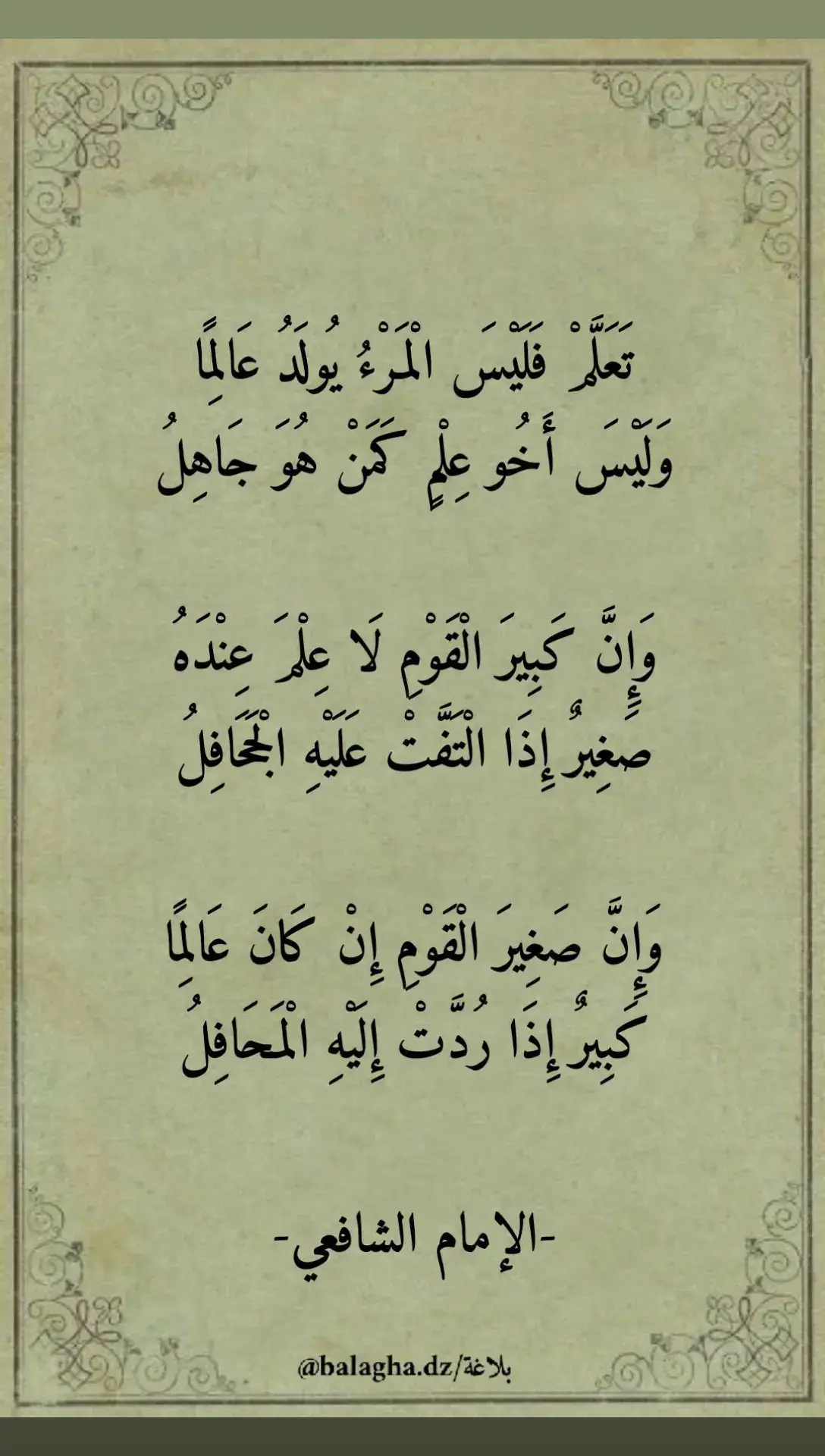 #الاندلس #اللغة_العربية #شعر #بلاغة #كتب #دوستويفسكي #اقتباسات #فلسفة #dz 