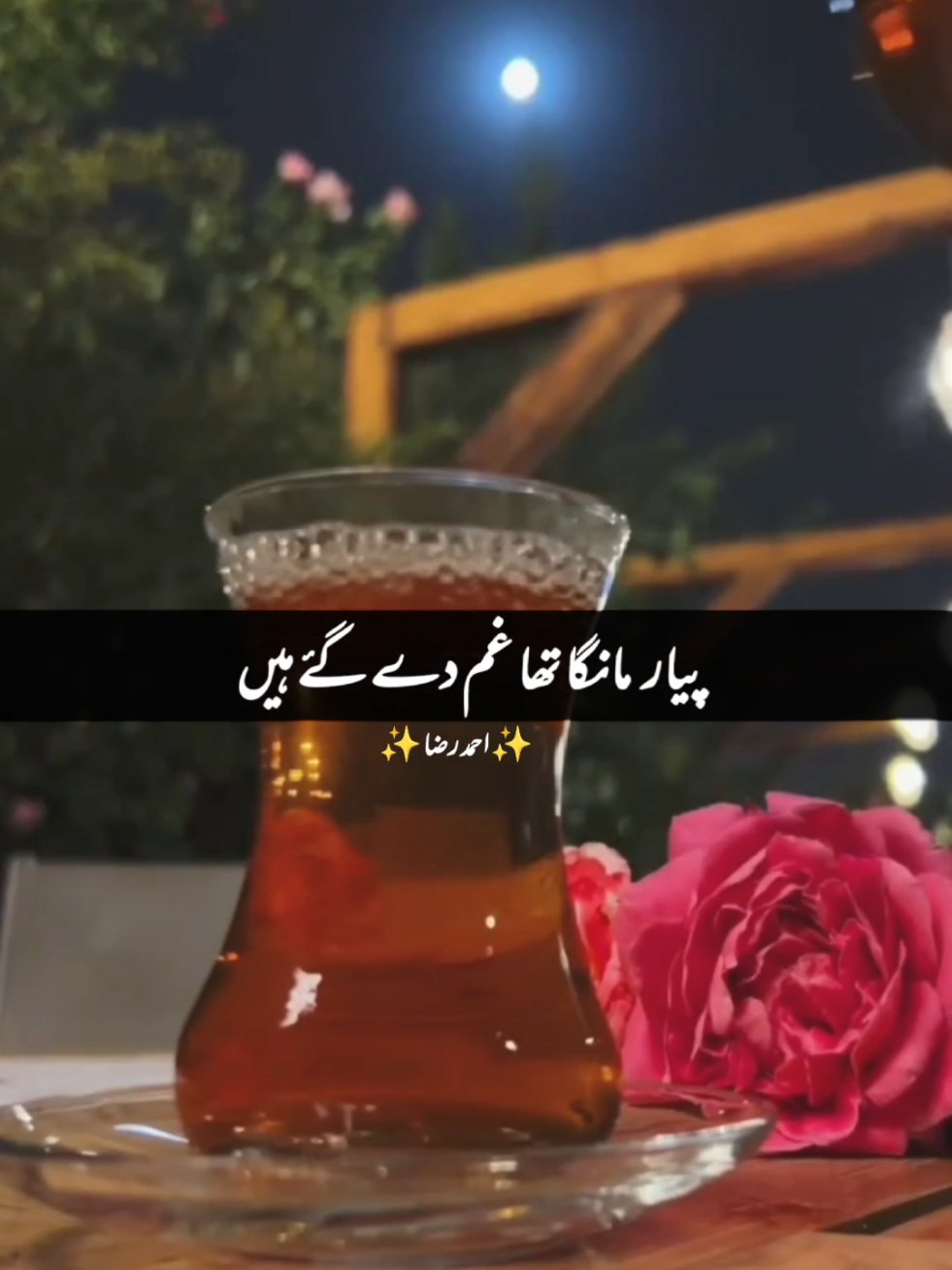 Pyar Manga Tha Gham De Gye #nfaklines #nfakstatus #nfak_lines #nfaklovers #nfakqawali #nfakghazal #foryou #viralvideo #foryou #foryoupage #fypage #foryoupage❤️❤️