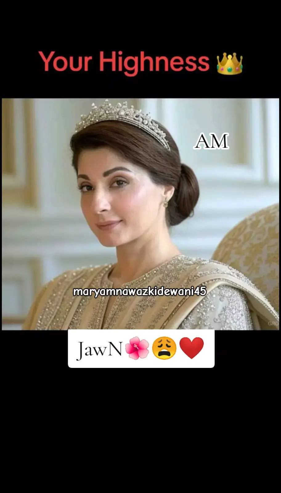 JawN🌺😩❤️ #PMLN_FOREVER #Sukooneqalb #JaNMNS #viralvideo #viewsproblem #unfrezzmyaccount #IshqMNS #AnmolkiMaryam #AnmolkiJaN 