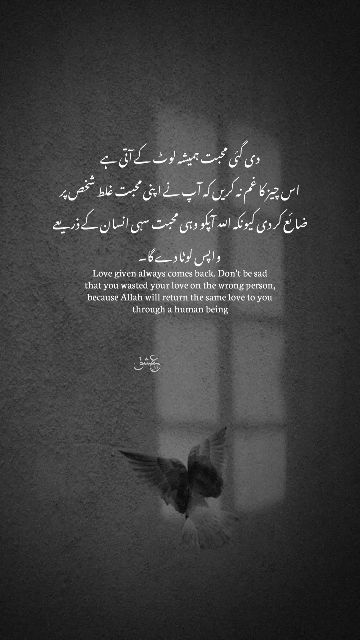 دی گئی محبت ہمیشہ لوٹ کے آتی ہے اس چیز کا غم نہ کریں کہ آپ نے اپنی محبت غلط شخص پر ضائع کر دی کیونکہ اللہ آپکو وہی محبت سہی انسان کے ذریعے واپس لوٹا دے گا۔ #zouqeishqofficial #urduline #foryou #viral #foryoupage 