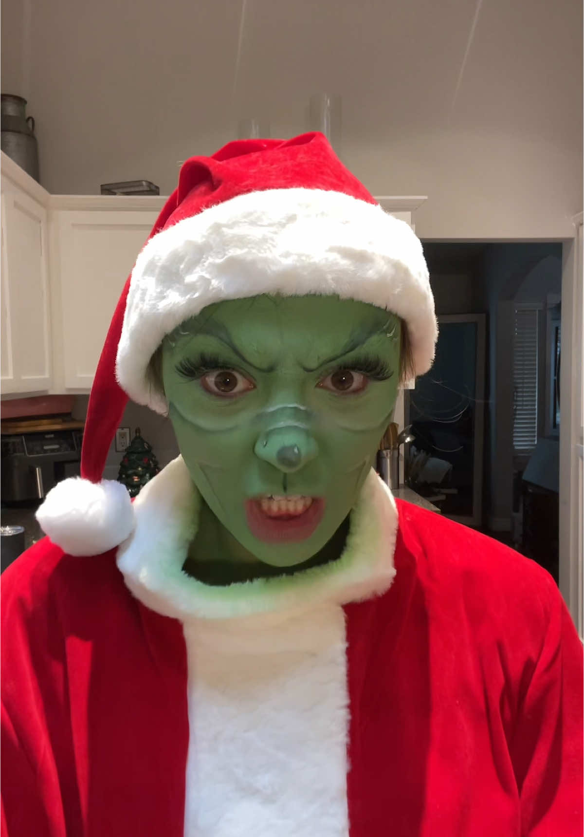 Channled my inner grinch yesterday #grinch #christmas #santa #elf #gifts #holiday #fyp 