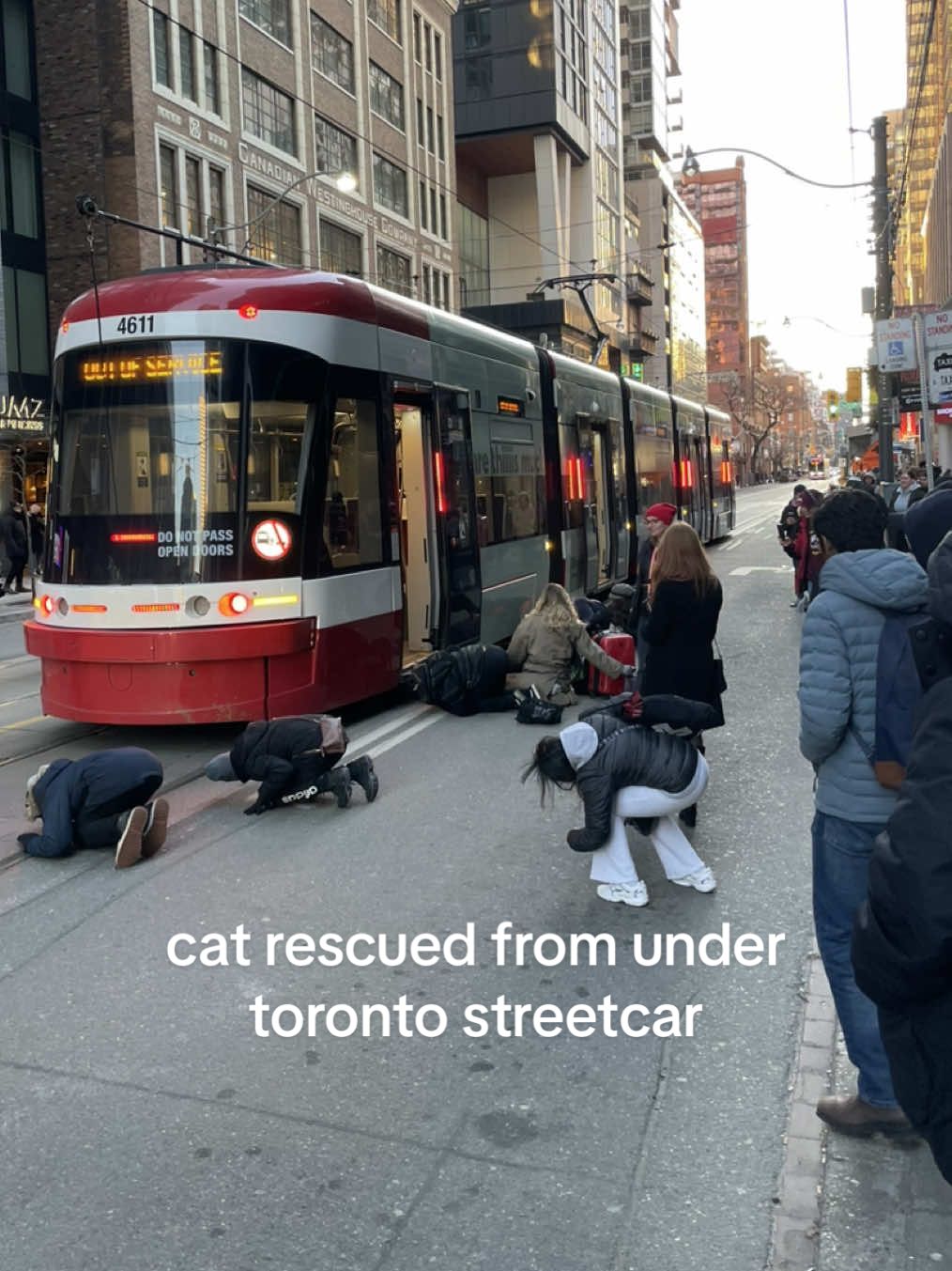 crowd rescues cat from under toronto streetcar during rush hour #torontolife #torontotiktok #toronto #catrescue #feelgood #ttc 