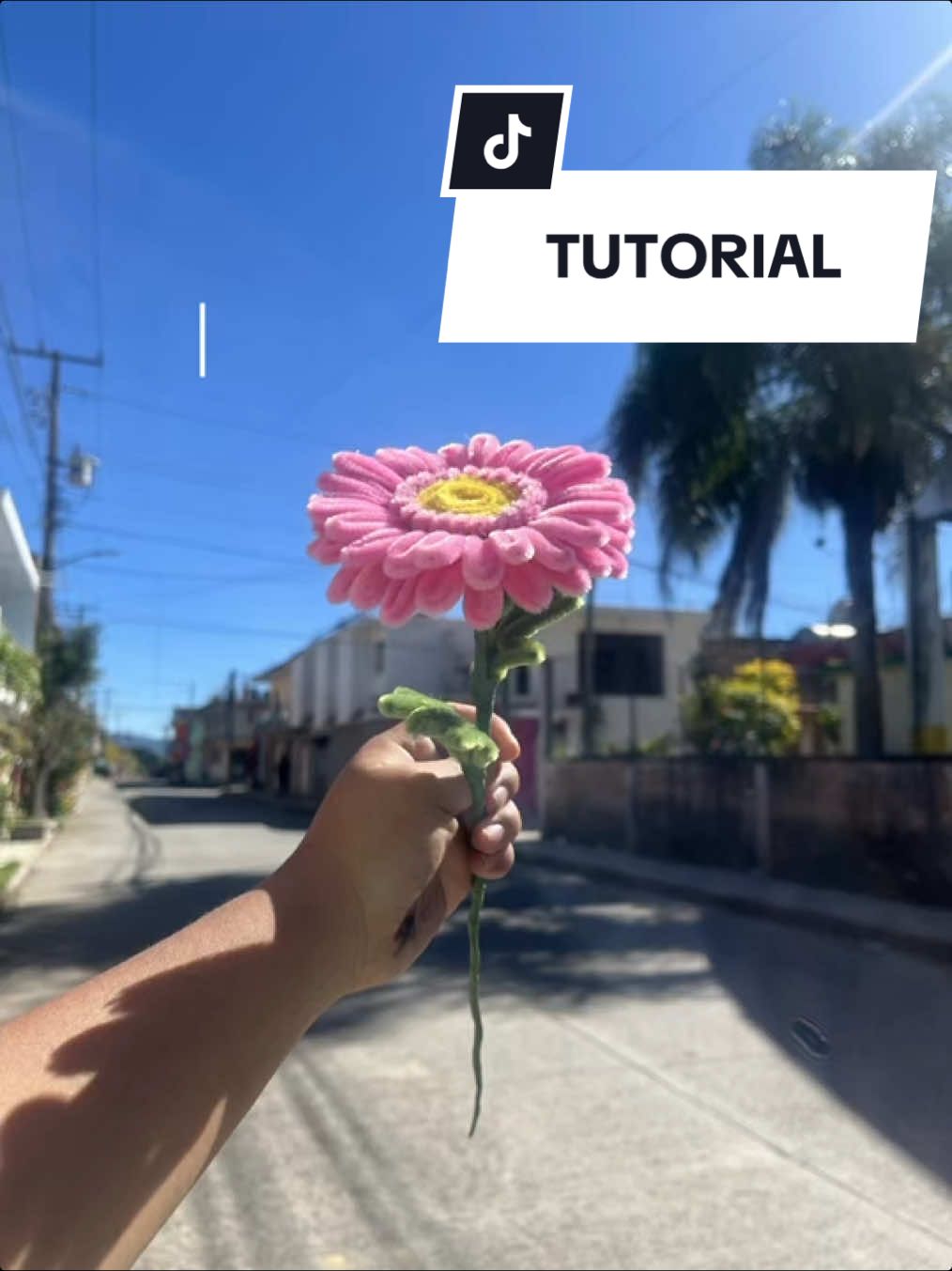 TUTORIAL DE GERBERA✨💕|#CapCut #floreseternas #limpiapipas #majiflowers #gerberas 