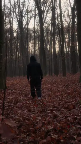 Sometimes I don't even think life is real.  • • • #nature #viral_video #foryoupagе #explore #deepthoughts #sun #forest 