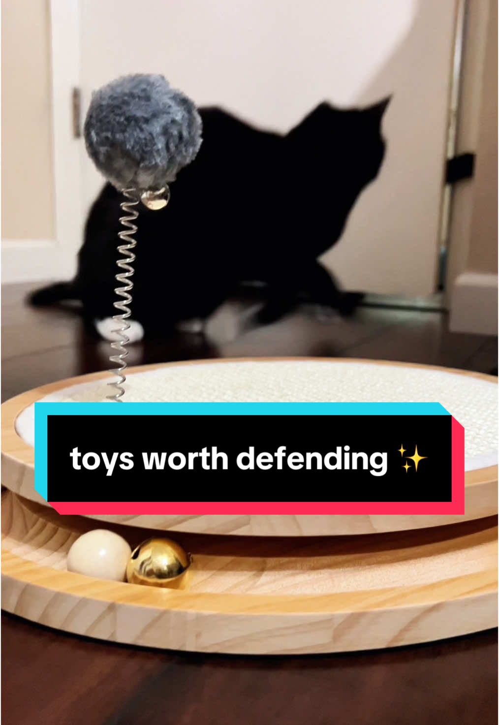 how stella lost her new toy ✨ #cat #cats #catsoftiktok #blackcats #tuxedocat #toys #toy #cattoys #turntabletoy #catscratcher #happycat #woodentoys #winterfinds #spotlightfinds #giftguide #tiktokshopholidayhaul @LMUGOOS 