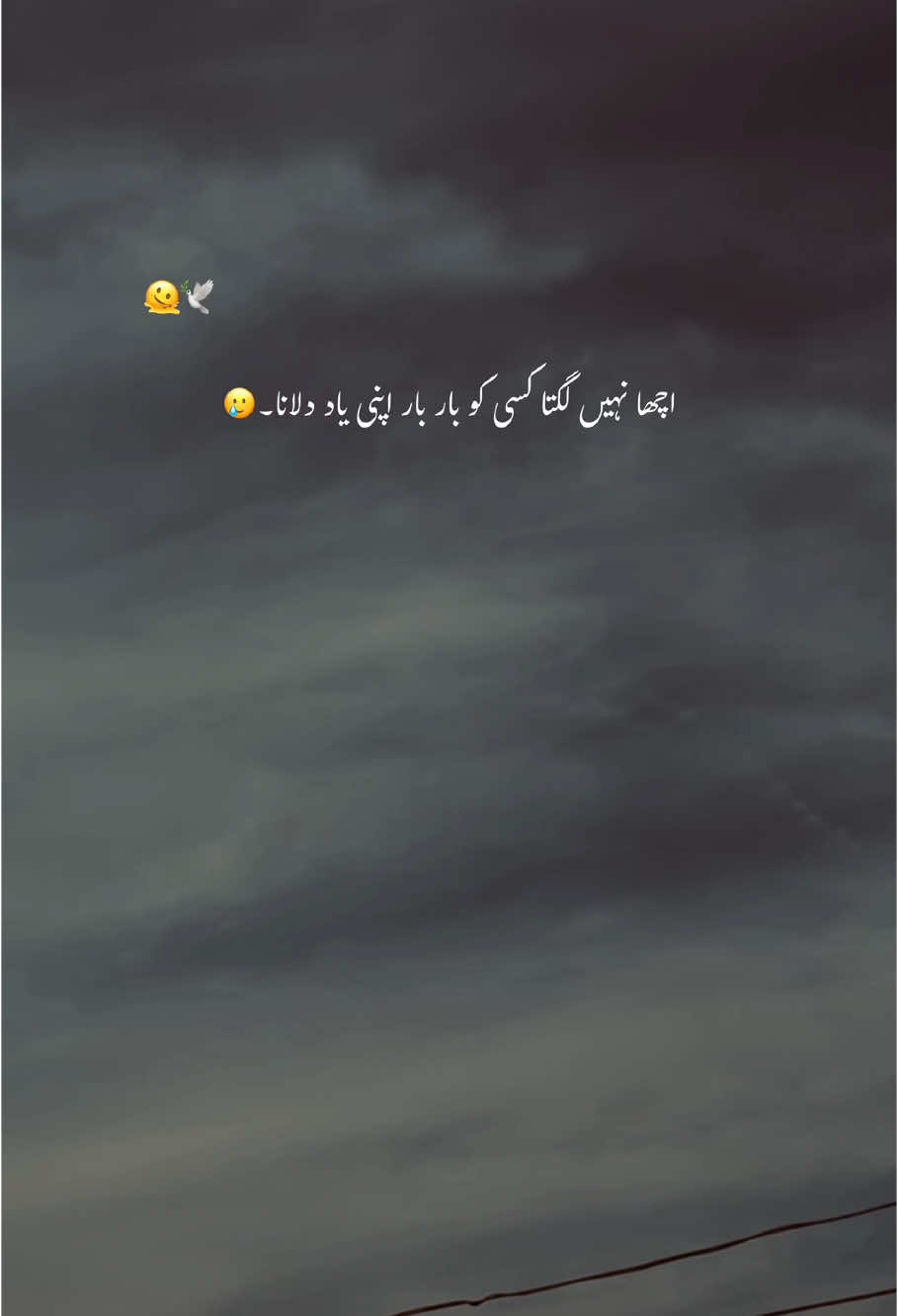 ہوتی ہے جن میں وفا۔🤌🫠 #foryoupage #foryou #trending #aesthetic #account #poetrystatus #hehe_feroz 