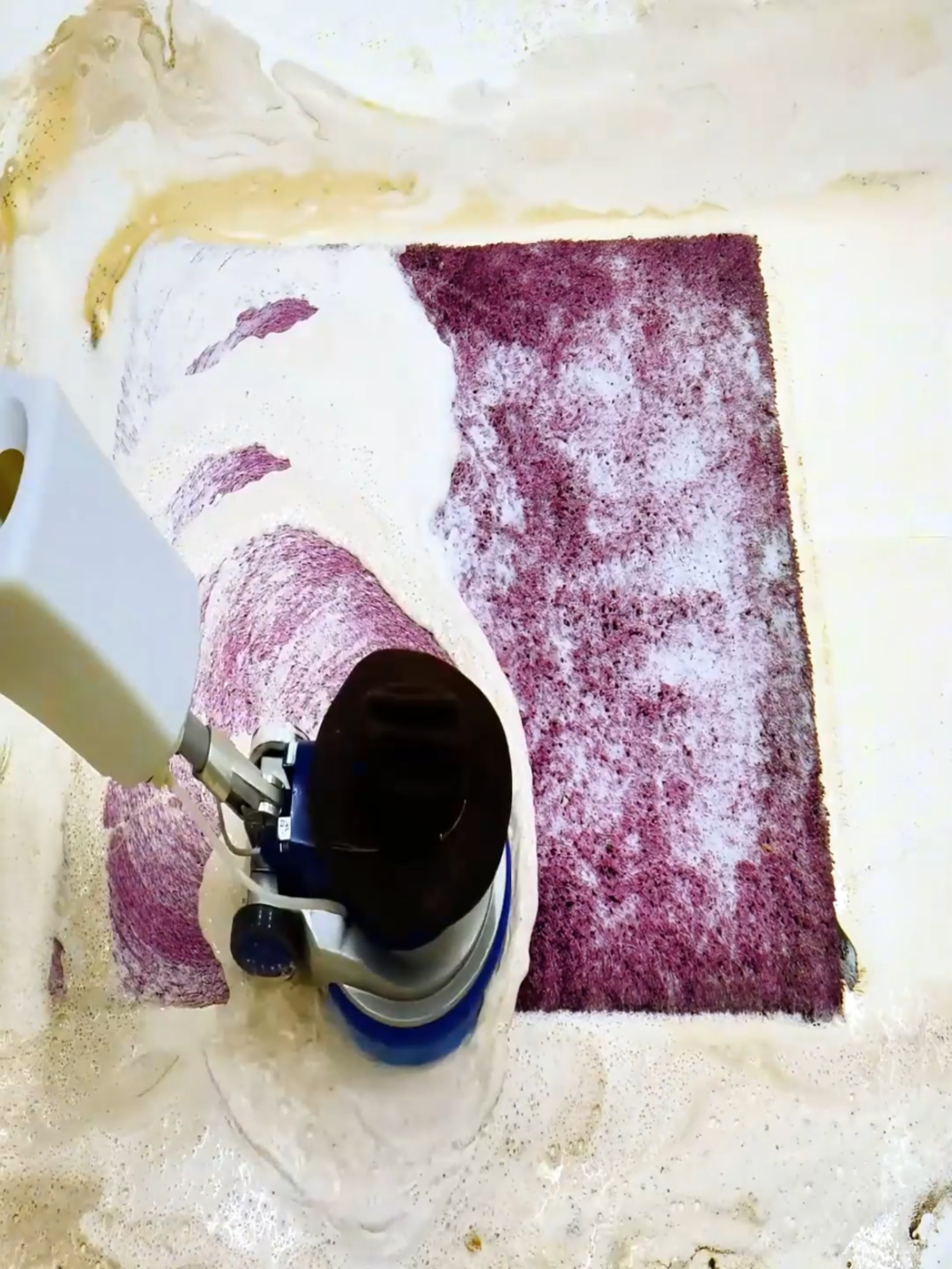 Watch This Rug Get a New Life After Years on a Pub Floor – Satisfying ASMR Cleaning Timelapse