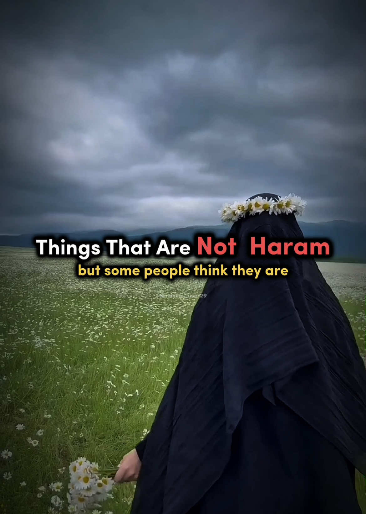 #halal #things #haram #islamic_video #islamicreminder #muslim #islam #fyp #trending #sunnah #islamic #muslim_user29 