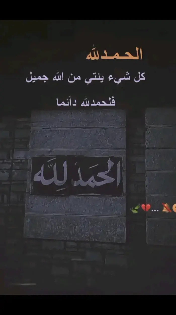 فلحمدالله دائمام#تصميم_فيديوهات🎶🎤🎬 #مجرد________ذووووووق🎶🎵💞 #طششونيي🔫🥺😹💞 #صعدو_الفيديو #❤️ #🍃