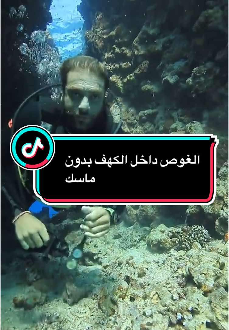 الغوص داخل الك ف بدون ماسك##مدرب #scubadiving #diving #sharktank #sharks #sharmelsheikh #rasmohammednationalpark #sharktankmexico #egypt🇪🇬 #البحر_الاحمر #شرم_الشيخ_سيناء_مصر #شرم_الشيخ_سيناء_مصر🏖️🏝️🍹 #دهب #خليجي_25_بصراوي 