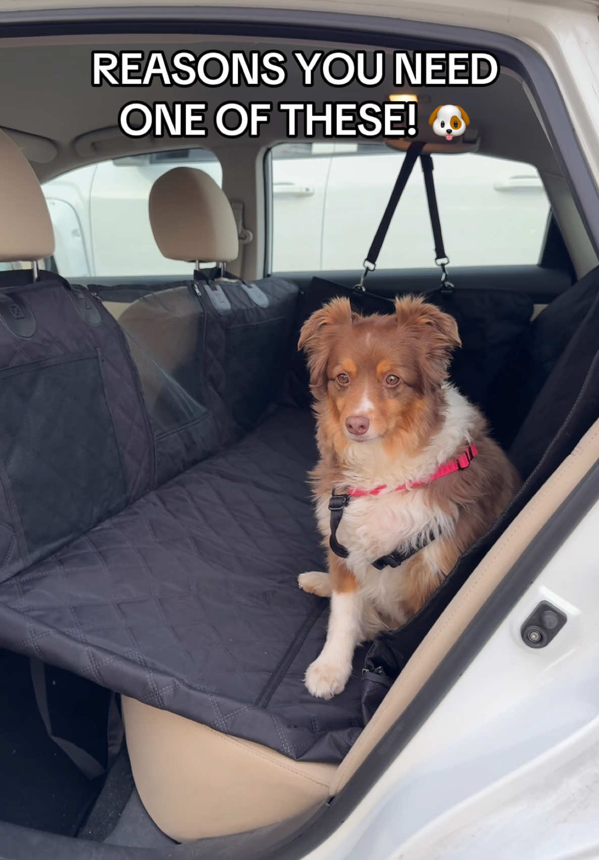 Dog owners…I got you covered‼️ @REEVAA US #Dogs #REEVAA #Pets #TIKTOKMUSTHAVE #REEVAABackSeatExtenderDogCarSeatCover #dogstiktok #petstiktok #TIKTOKfinds #carpetmats #fypシ゚viral #dogsmom #dogdad #fyp #fyppppp #fypage #pov #dogfriendly #dogsoftiktok 