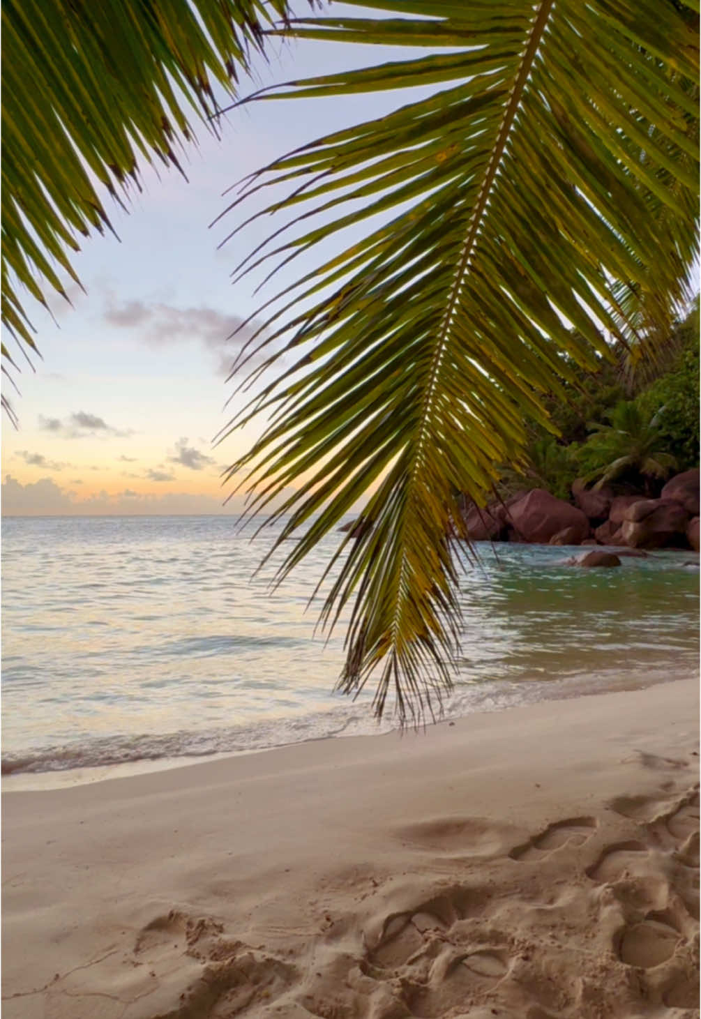 Beach therapy 😌💦🌅🌿🌊 #seychelles #paradise #therapy #oceantherapy #oceantok #nature #sound #waves #relaxing #sunsetbeach #goldenhour #tropical #praslin #constance #plage #traveltiktok #landscape #frypgシ 