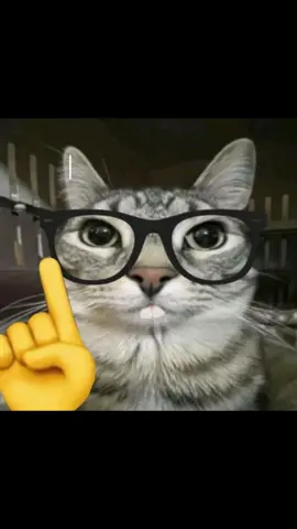 le savais-tu ? 🤓 #dankmemes #catmemes #chat #brainrot #humour #faitinteressant #offlain 