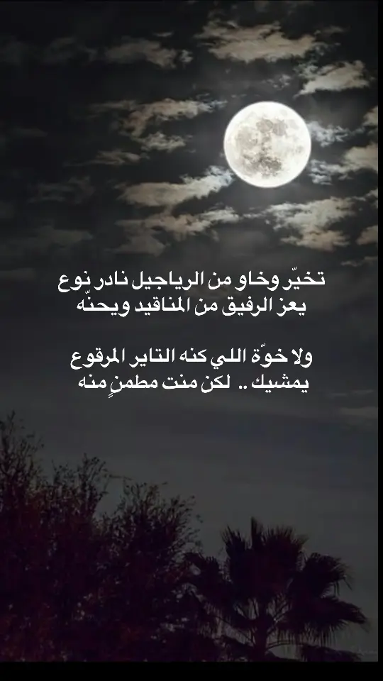 #قصايد_شعر #خواطر_للعقول_الراقية #قصيده_شعر_بوح_كلام_من_ذهب #شعراء_وذواقين_الشعر_الشعبي #اشعار #قصايد_شعر_خواطر_أكسبلوررر #اشعار__وقصايد 