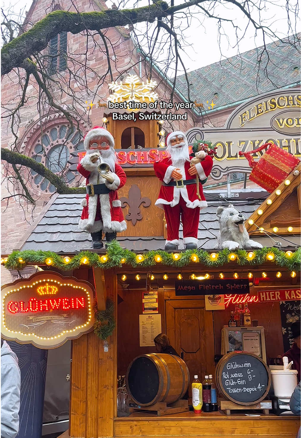 Christmas market in Basel, Switzerland 🇨🇭🦌✨ it’s the best time of the year🎄 #weihnachtsmarkt #christmasmarket #basel #christmas #weihnachten 