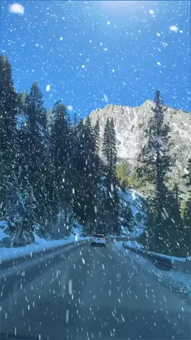 🌨️☃️❄️