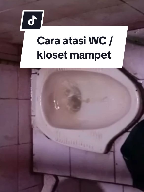 Membalas @yourgalangg Trik rahasia cara atasi WC mampet #tutorial #cara #caramudah 