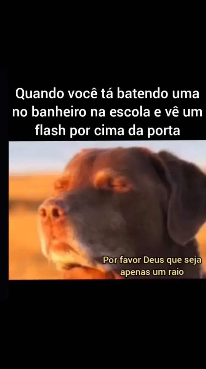 #viral_video #virał #fyd #memestiktok #shitpostmeme #engraçado #amigos #escola 