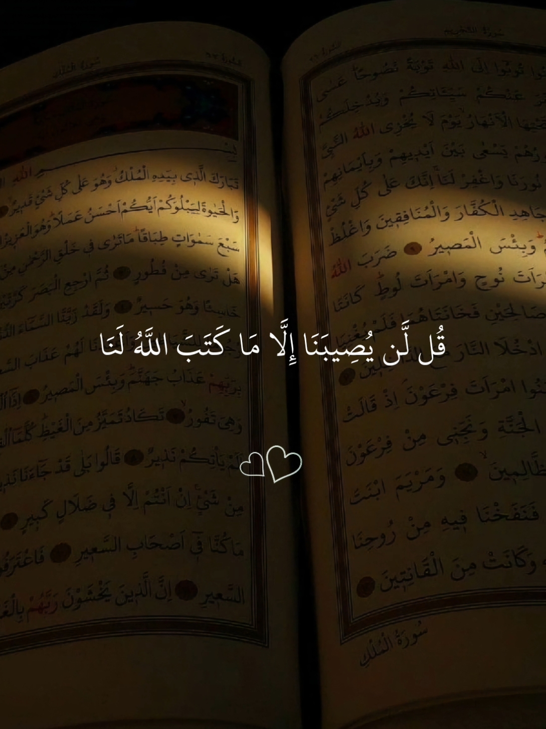 اذكروا الله 🤎🎧#ماهر_المعيقلي #احمد_العجمي #ياسر_الدوسري #قران_كريم_ارح_سمعك_وقلبك #قران #قرآن_كريم_راحة_نفسية #قرآن_كريم #quran #explore #fyp #صلي_علي_النبي #فارس_عباد #اللهم_صل_وسلم_على_نبينا_محمد  • • • • • #محمود_صبحي 