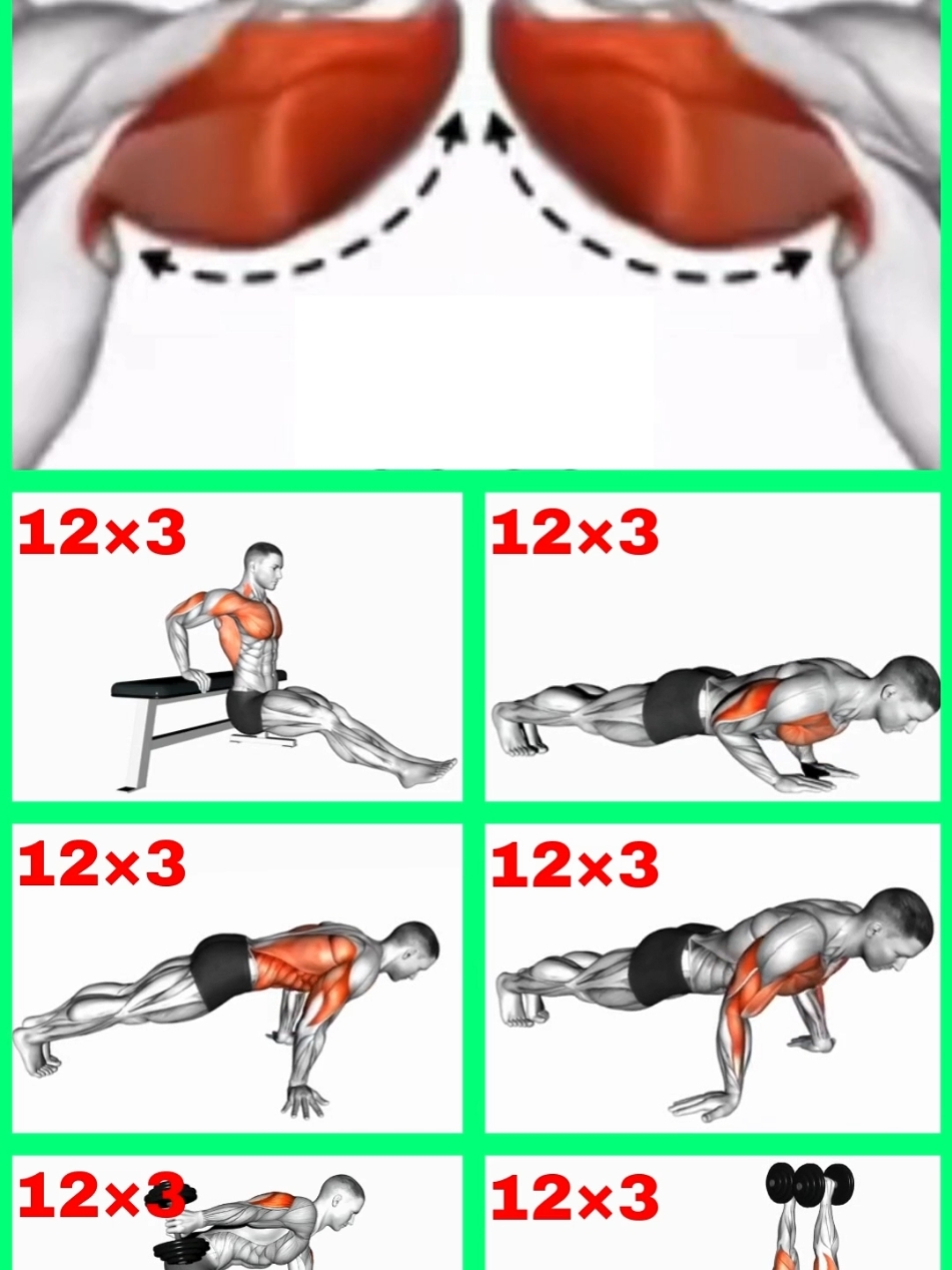 TRICEPS WORKOUT AT HOME.#tricepsworkout #workout #homeworkout #Fitness #sports #fyq #LIVETips #LIVEIncentiveProgram #PaidPartnership @Sports boy @Sports boy @Sports boy @HOMEWORKOUT 