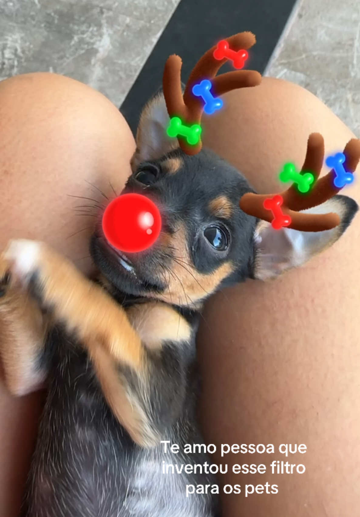 🎄