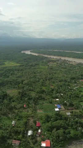 Amazonas, Perú  #jungle #amazon #forest #peru🇵🇪 #fyp #travel #viral_video #drone 