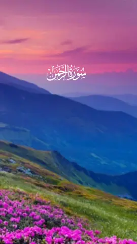 #alquran###fyp #tik_tok #fyppppppppppppppppppppppp #allah #fyp 
