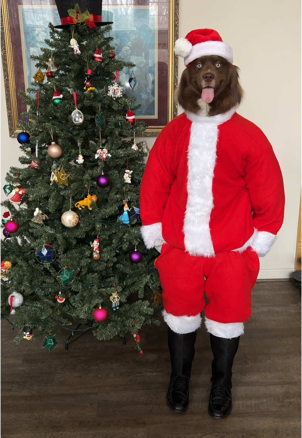 make sure you’re on $Kovu Claus nice list this year  #redhusky #kovu #solana #crypto #cryptok #meme #chillguy 