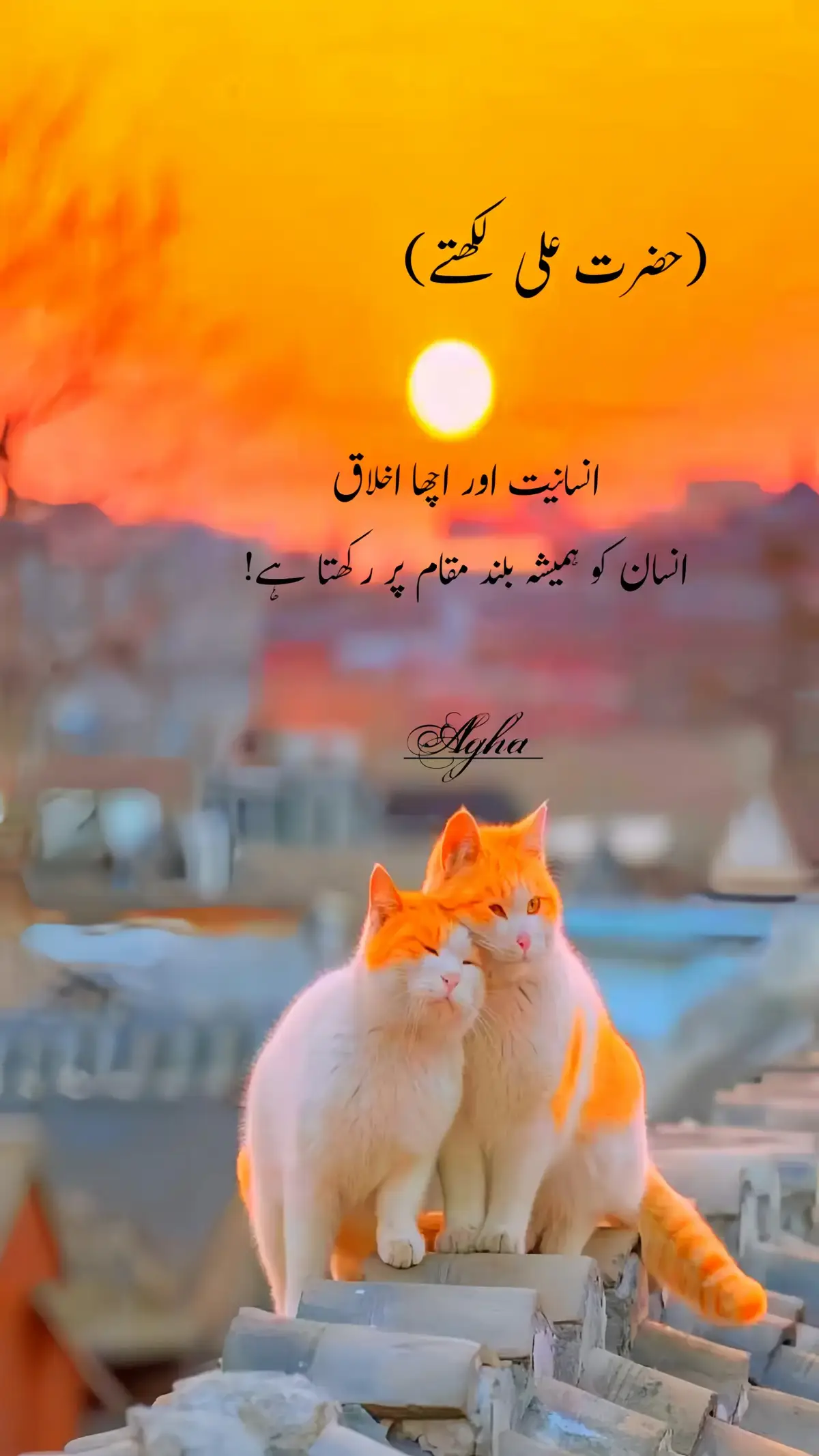 #fyb #foryoupage #viralvideo #tiktok #trending #tiktok #viral #myaccount #foryoupage #shayari @👑 ⒽⓄⓁⓎ ⓆⓊⓇⒶⓃ 👑 @القرآن Quran @Quran.pak @𝐈𝐬𝐥𝐚𝐦𝐢𝐜 𝐨𝐟𝐟𝐢𝐜𝐢𝐚l @ISLAMIC🥀 @🕋🌷تلاوت_الحرم_المكي🌷🕋 @🥀🕋Islamic official 🕋🥀 