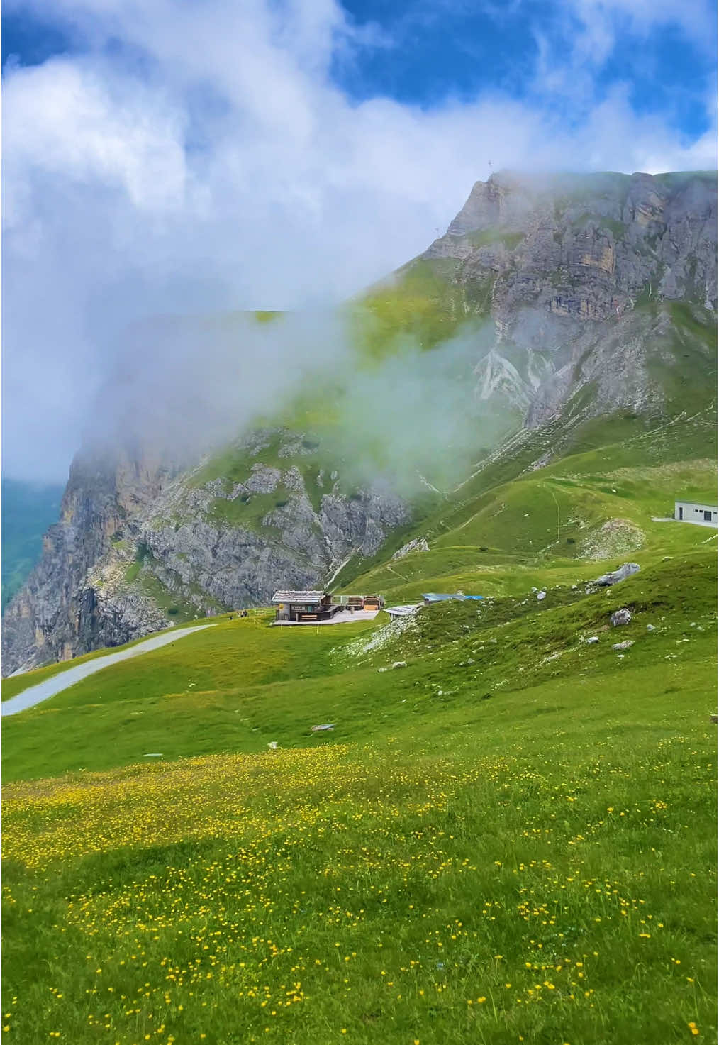 Heidi? #🇦🇹 #austria #nature #tirol #mountains 