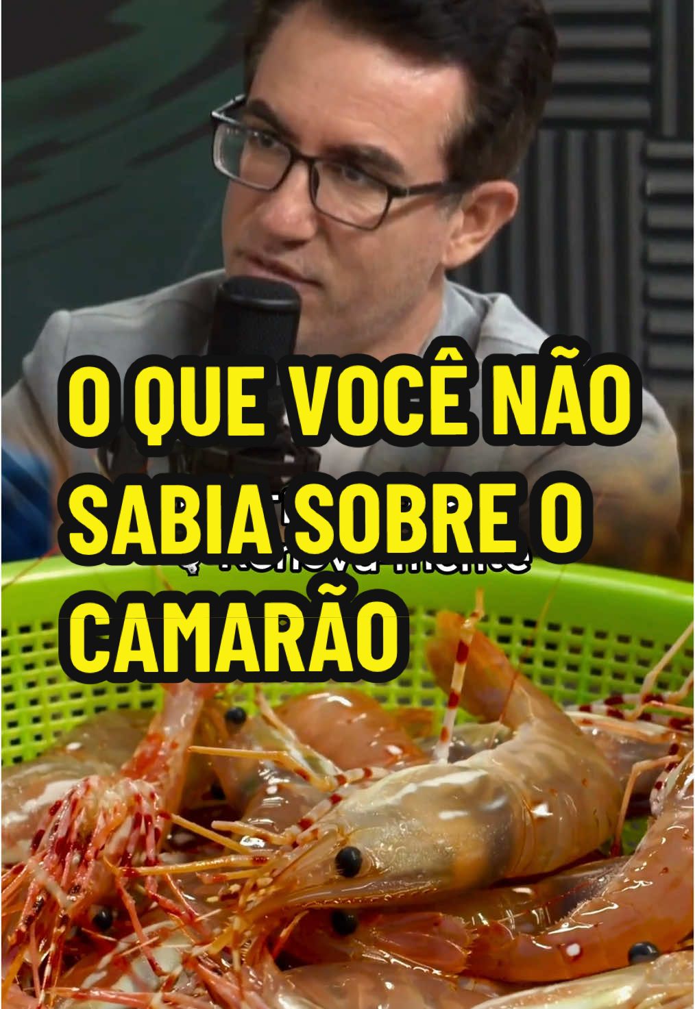 O QUE VOCÊ NÃO SABIA SOBRE O CAMARÃO  🩺 Dr. Tiago Rocha 🎙️ Renova-mente #saude #saudavel #camarão #alergia #mar #comida #porco 