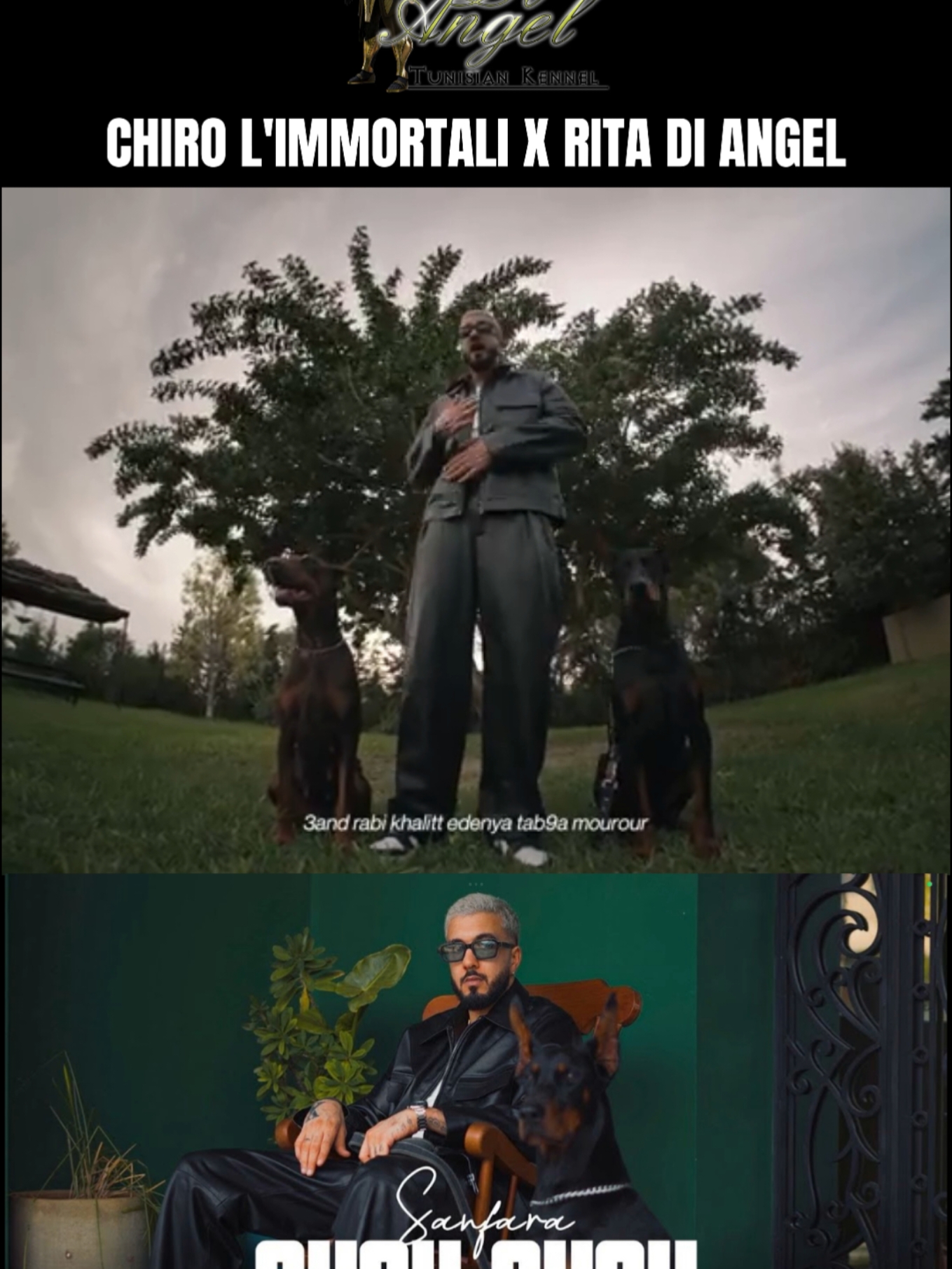 @Sanfara  Skou skou  #chiro #doberman #diangel #kennel #rap #tunisien #sanfara #dobs #clip #pop #dogs #dark #tunisia🇹🇳  #viral 