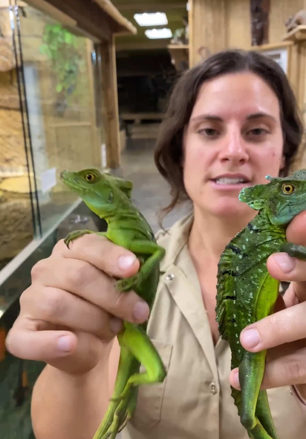 Coolest Animals at the Reptile Zoo! 🐾😮Join me at the Reptile Zoo as I showcase some of my favorite animals! 🤩 From fascinating snakes and stunning lizards to impressive crocodiles and other incredible reptiles, this video is packed with amazing creatures you don’t want to miss. Whether it’s the mesmerizing movements of a snake or the colorful beauty of a lizard, these animals are guaranteed to leave you in awe! • • • • #beautiful #wow #fun #cool #reptiles #lizard #feeding #feed #food #chicken #wow #wildlife #animals #animallovers #life #wild #AmaZing #video #moment #post #hungry #food #eat #fun #cool #tik #tok #tiktok #tiktokanimals