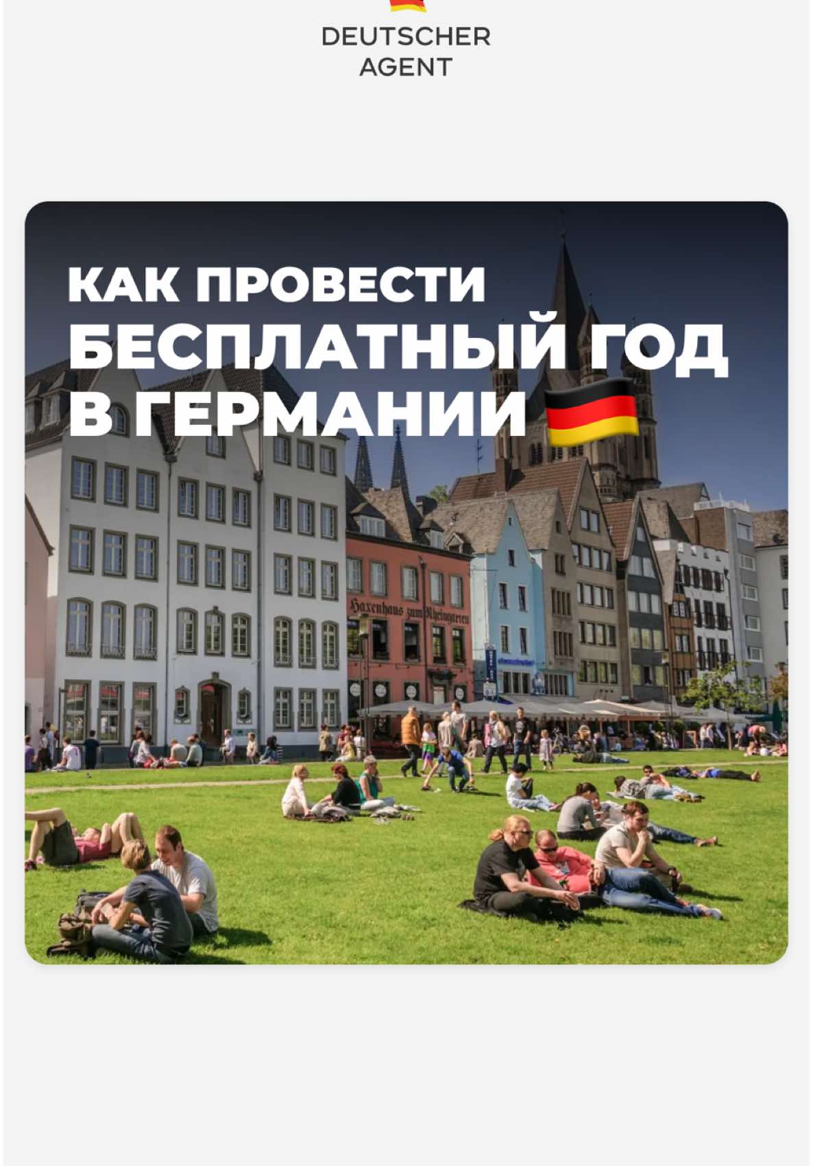 Бесплатная консультация доступна по ссылке в шапке профиля 🇩🇪 #волонтерствовгермании 