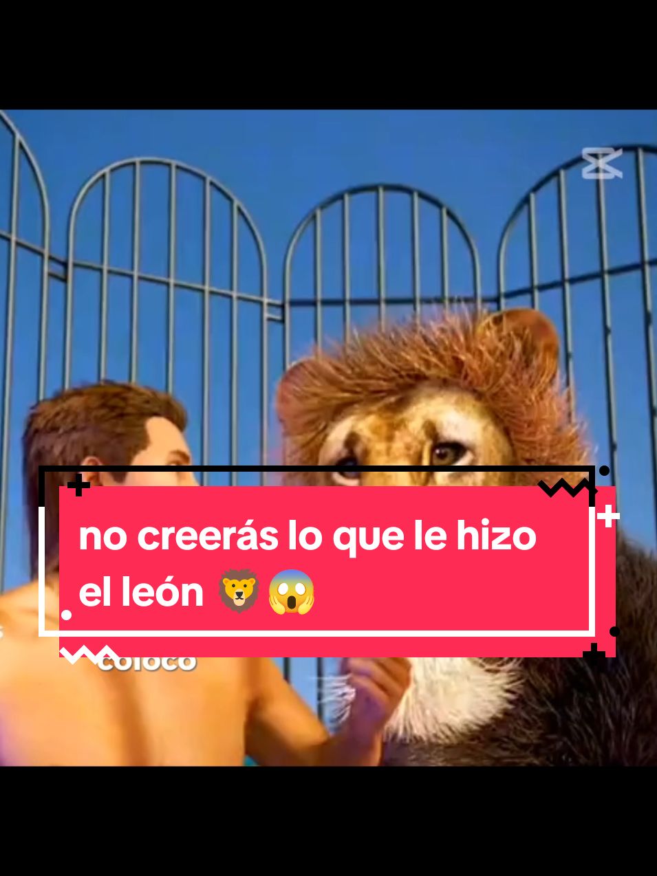 no creerás lo que le hizo el león😱🦁#leon #fyp #parati #😱 #increible #Edit 