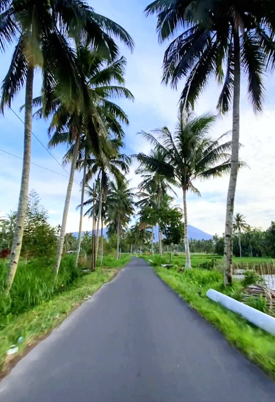 Jalan favorit menuju benang stukel dan benang kelambu. 📍jengguar, desa teratak, batukliang utara, lombok tengah. #lomboktraveler_ #lombok #fyp #lomboktiktok #serunyaliburan #wonderfulindonesia 