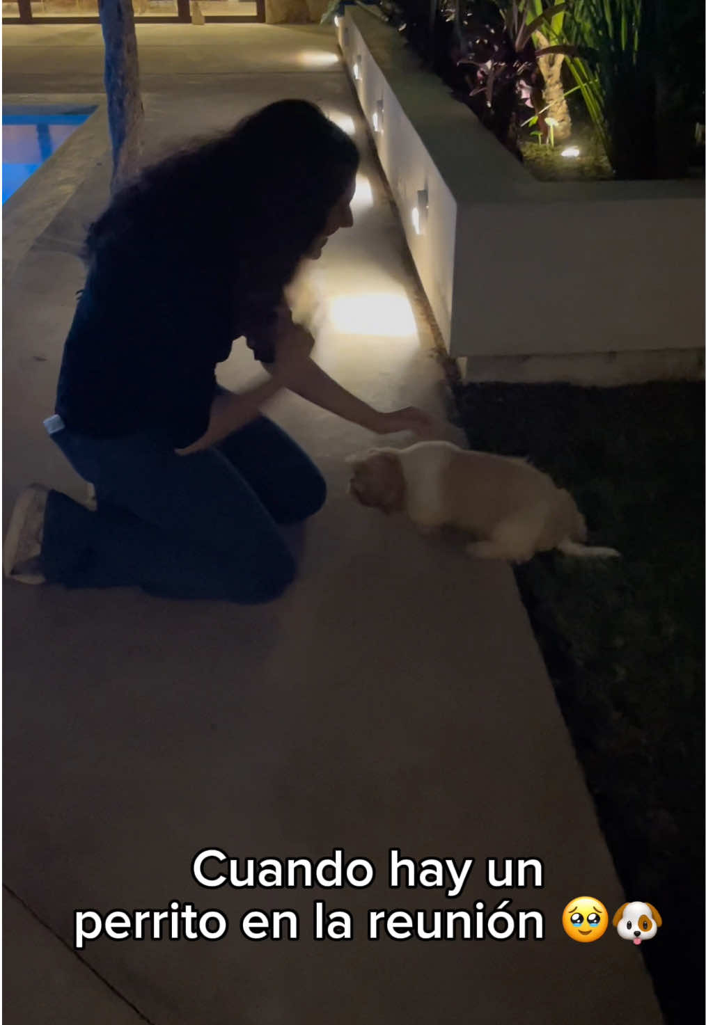 No lo puedo evitar 😩🥹 #perritos#humor 