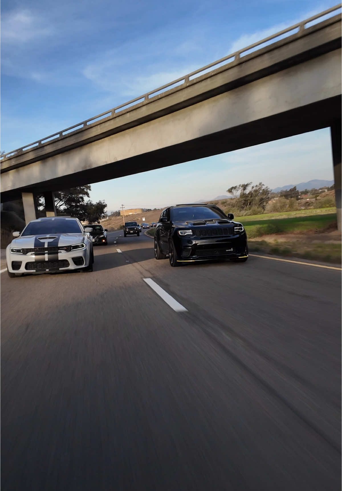 scat pack 🐝 x trackhawk 🍷 @J A V I #scatpack #trackhawk #hellcat #dodgecharger #dji #fyp #viralvideo #hellcatcharger #hellcatsupercharger #supercharged #srt #mopar #carsontiktok #fypシ #392hemi 