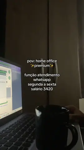 🤭 #homeoffice #trabalharemcasa  