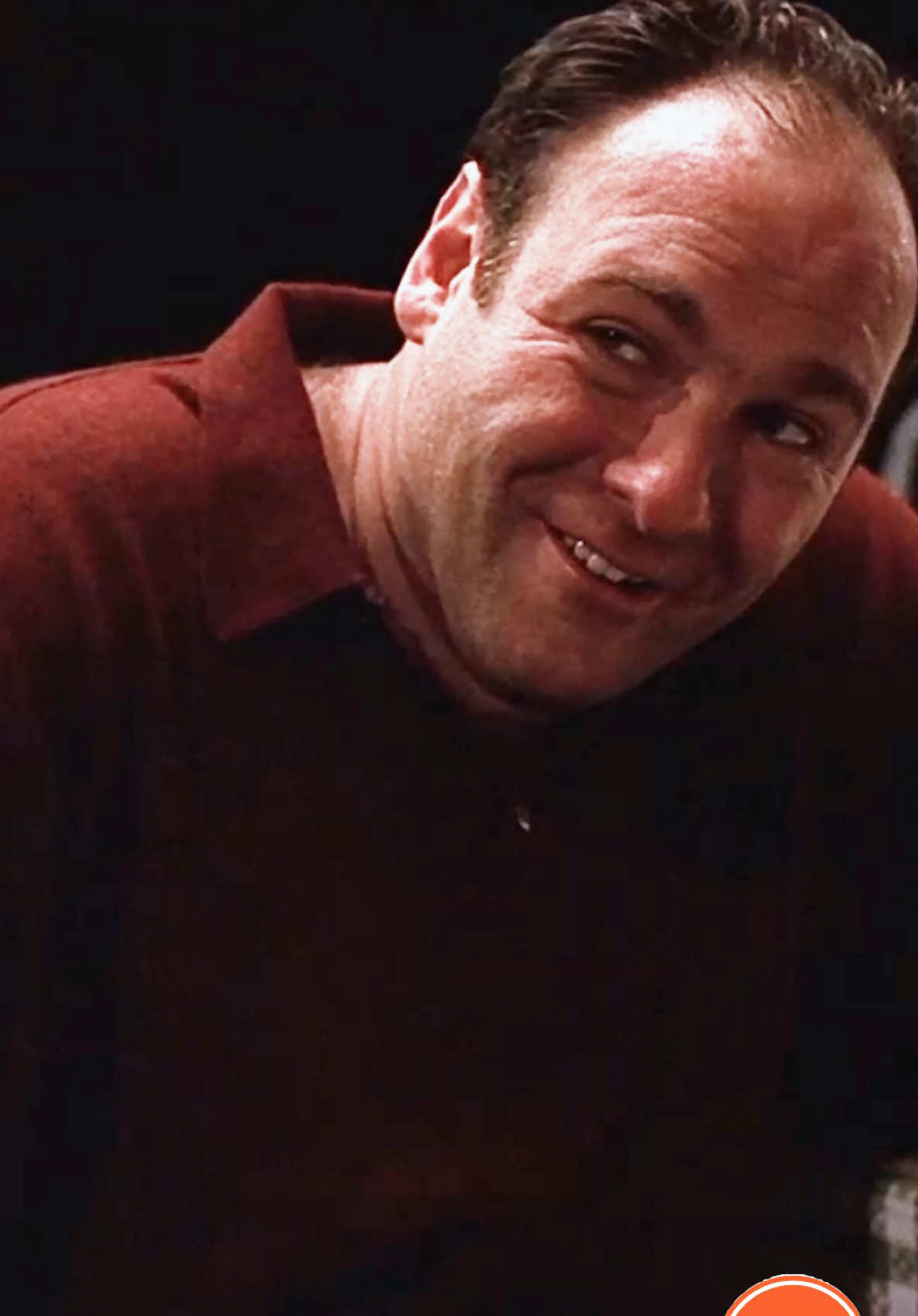 #thesopranos #sopranos #tonysoprano #hbo #hbomax #foryou #fyp 