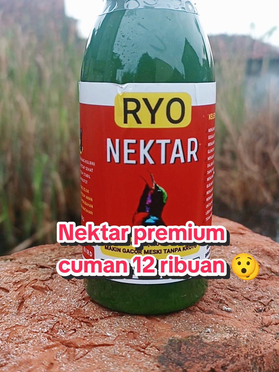 Nektar pengganti kroto.. tanpa kroto tetap gacor!! buat konin dan sogon #ryonektar #nektar #nektarburung #nektarsogon #nektarkolibri #nektarkonin #kolibrininjaindonesia #sogonmania #pakanburung #koningacor #nektarmurah #wibgajian #megaguncang1212 #promoguncang1212 #gilagilajualan #cuantanpabatas #kicaumania #burungpemakanmadu 