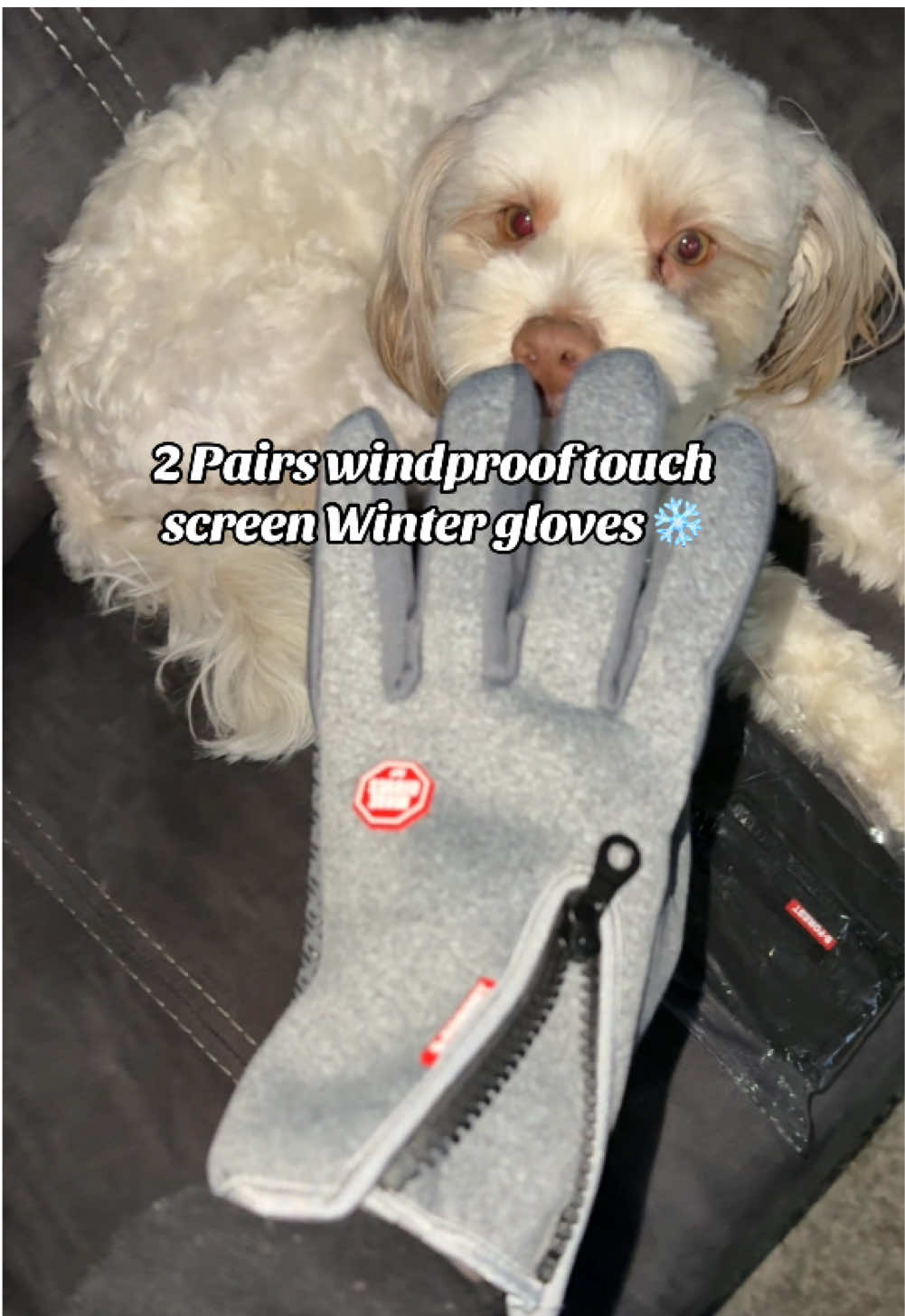 Keep my hands so warm! ❄️ #wintergloves #touchscreengloves #2pairgloves #winterfashion #NewYearNewAura 