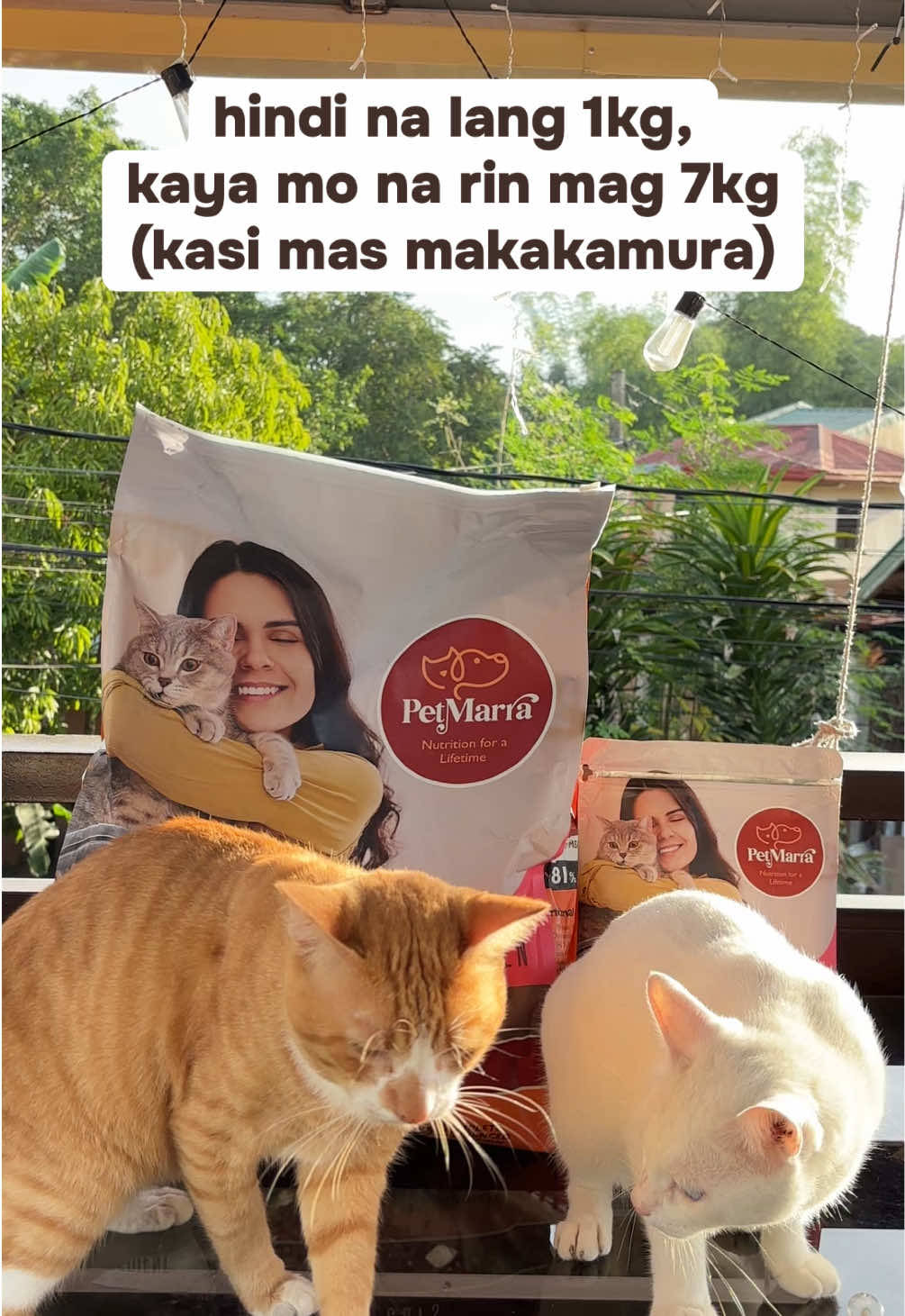 @PetMarra petmarra dry cat food 7kg saves you at least 145 pesos. #catfood #petmarra #petmarracatfood #petmarracatfood7kg #affordablecatfood 