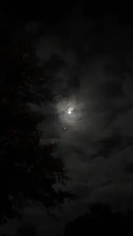Night moon view 😍 #moon #fullmoon #night #america #university 