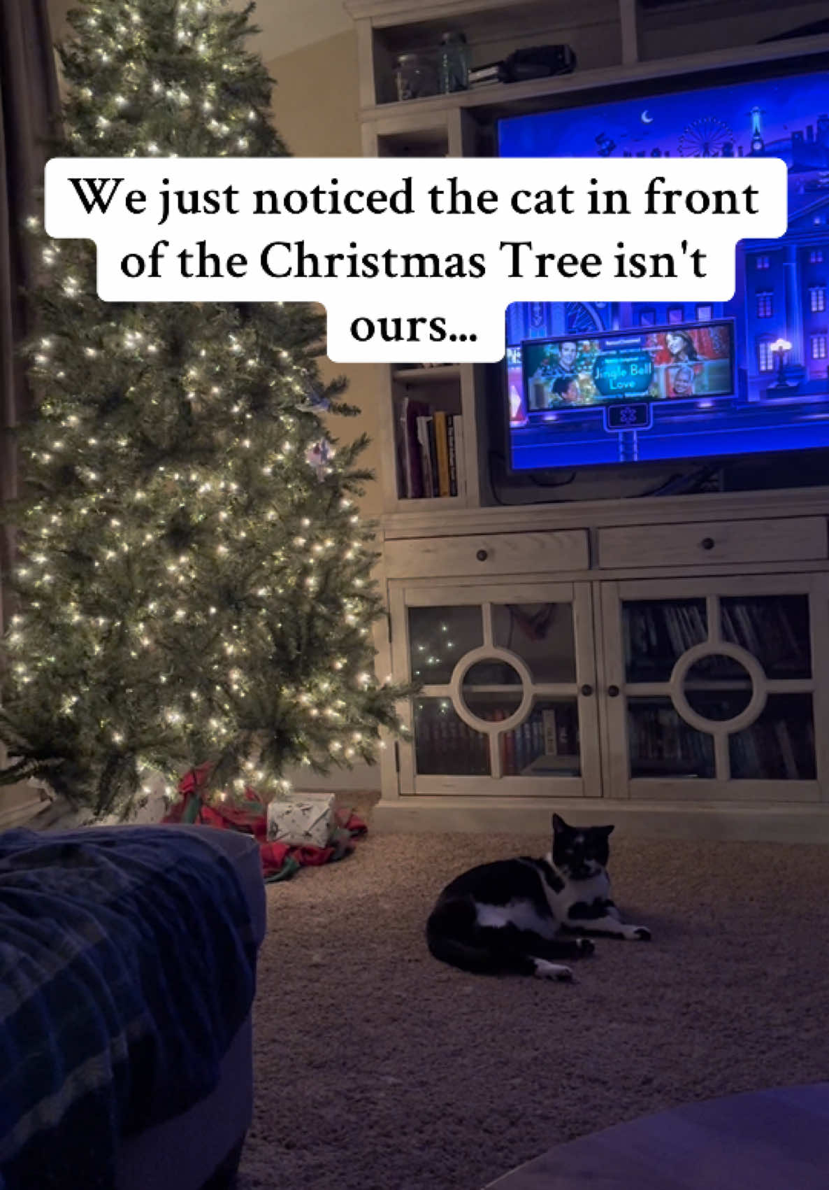 Ho did he even get in??? #country #countrytiktok #swiftie #countrygirl #countrylovestory #catsoftiktok #blackandwhitecat #christmascats #notourcat #kc 