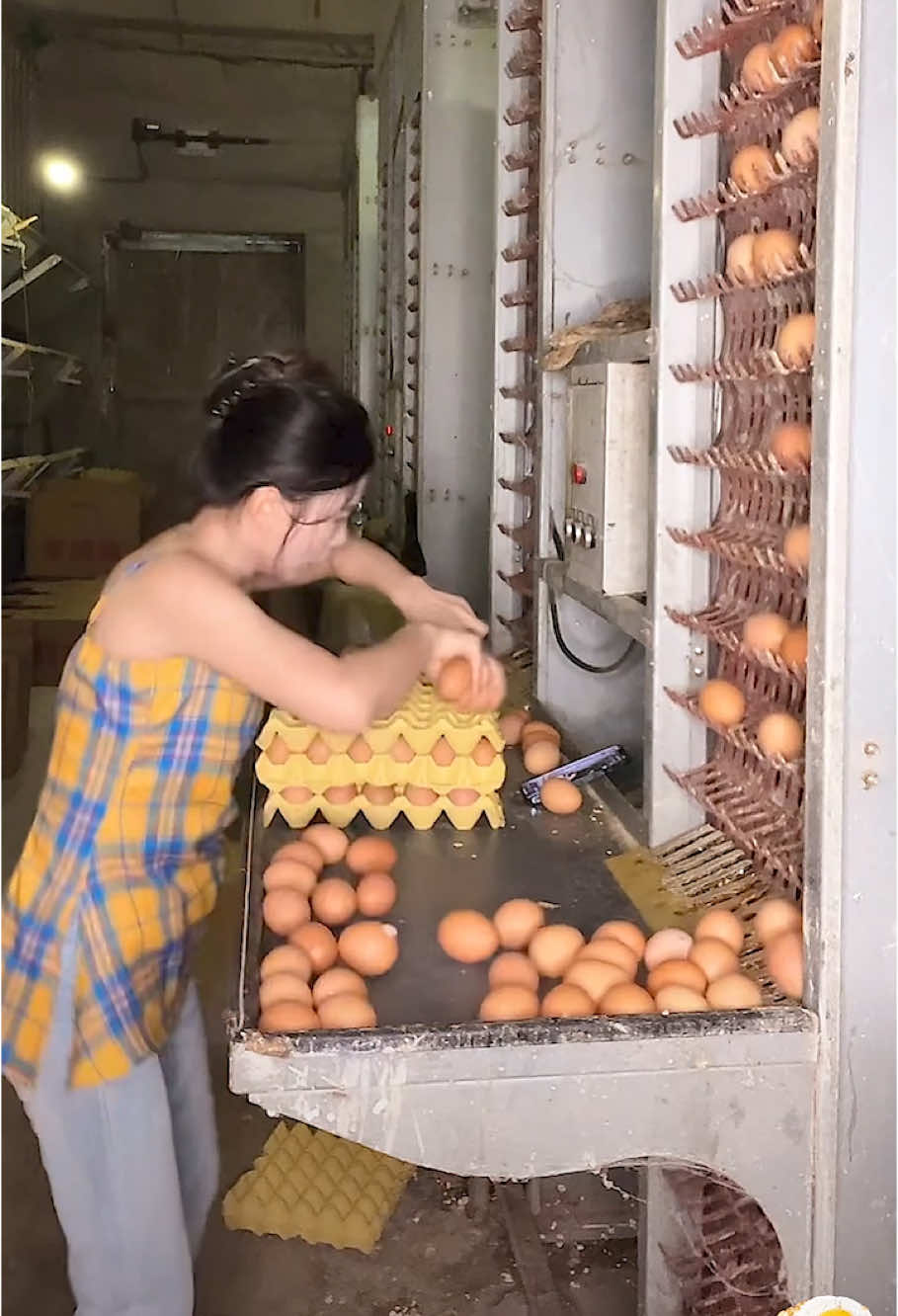 Chicken farm collecting eggs 🐣 #asmr #satisfying #fyp #asmrvideos #satisfyingvideos 