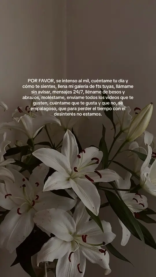No podiamos dejar d eponer a luismi de fondo #luismiguel #fyp #fouryou #infirecta #amor #tiktokviral #xyzcba 